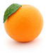 Navel Oranges