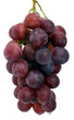 Table Grapes