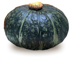 Squash