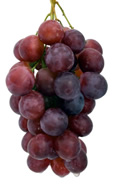 Grapes
